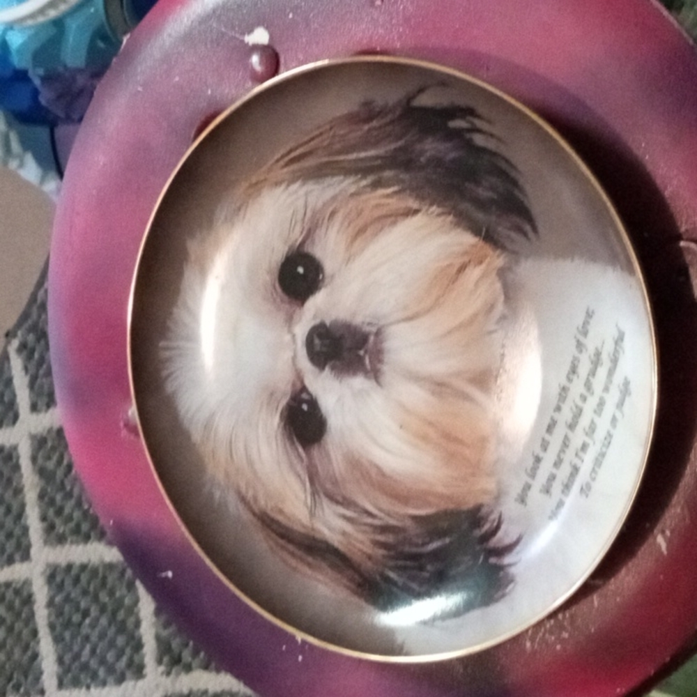 Danbury mint collection plate
